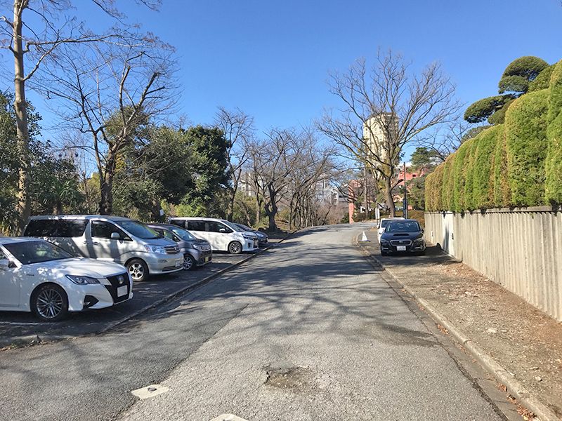 芝公園墓苑　木々に囲まれた駐車場