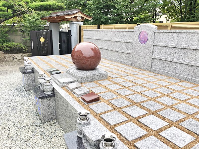 新高の紫苑
