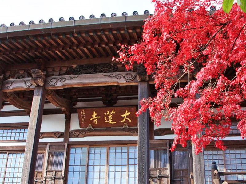 大蓮寺 のうこつぼ