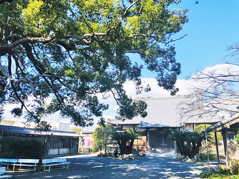 祥雲寺 のうこつぼ