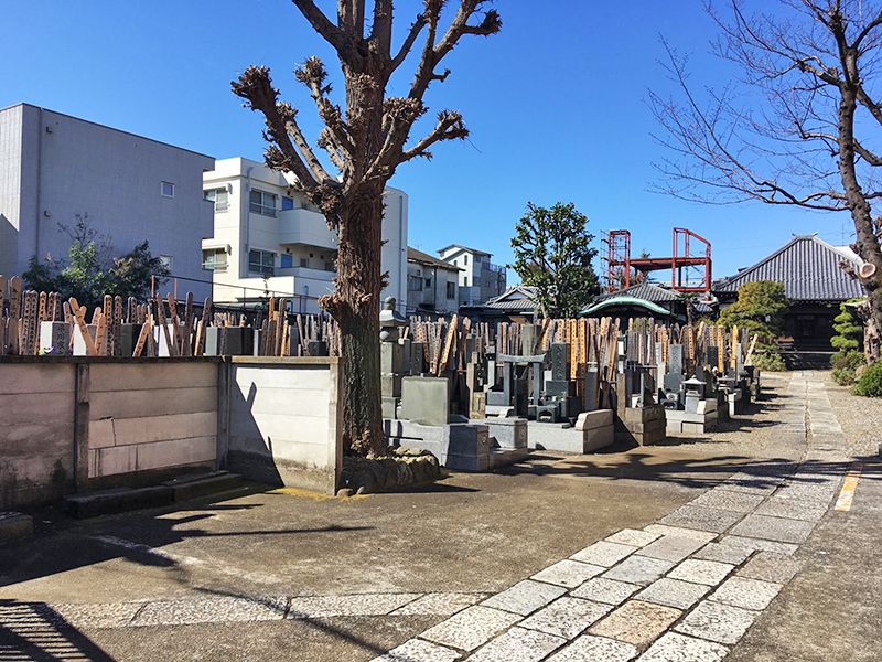 中板橋樹木葬墓地