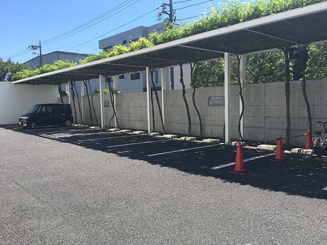 江戸川聖地霊園　屋根付きの駐車場