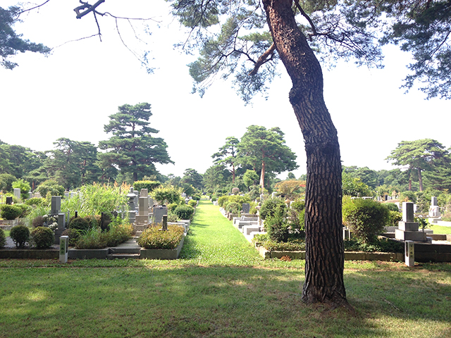 都立 小平霊園　北側にある武蔵野の雑木林