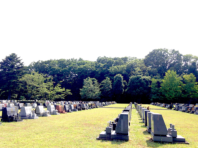 都立 八王子霊園　幅広い間隔で墓石が並ぶ墓域