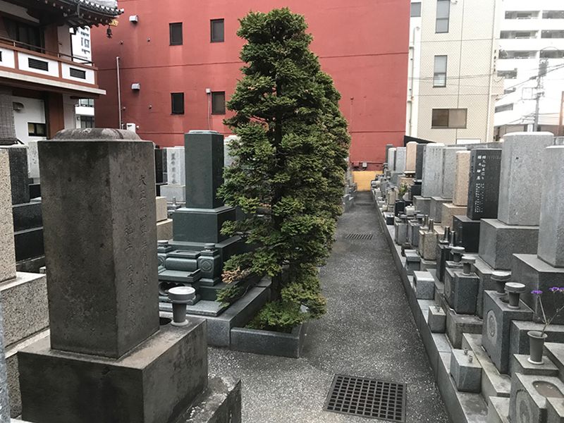 専光寺