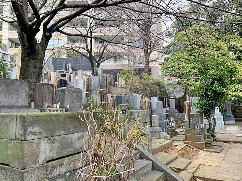 陽壽院