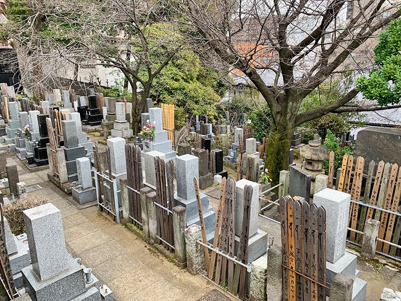 陽壽院