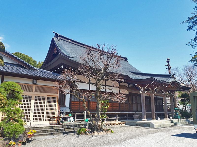真照寺 秋川薬師霊苑