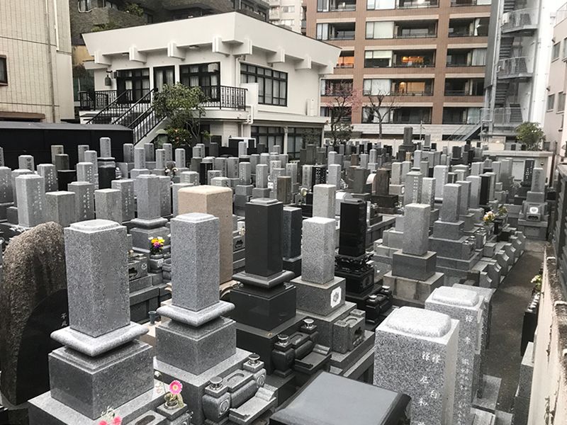 浄土真宗 本願寺派 金蔵寺　永代供養堂「聖樹」