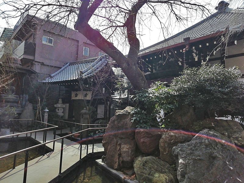 法眞寺 本郷赤門前霊園 植栽