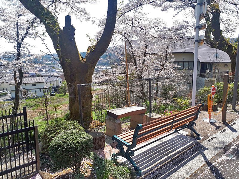 カトリック五日市霊園　桜の木近くにある休憩スペース
