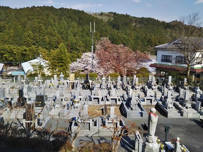 西武セミトリーパーク霊園　周囲には四季の移ろいを感じられる自然