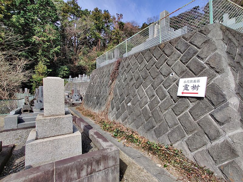 逗子霊苑　霊樹への参道