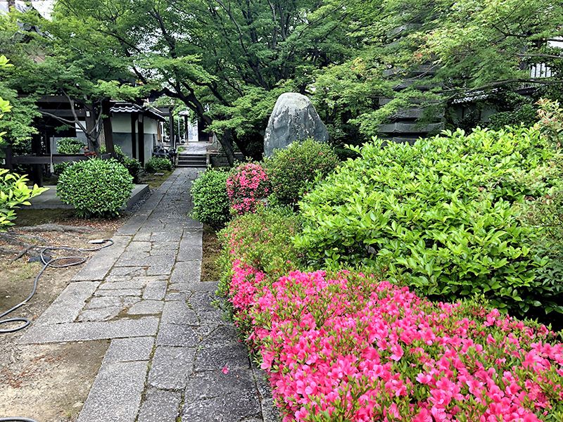 京都メモリアルパーク 樹木葬「椿」「桜」永代供養墓