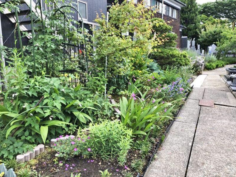 大榮寺 のうこつぼ