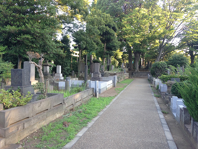 都立 谷中霊園　広い参道