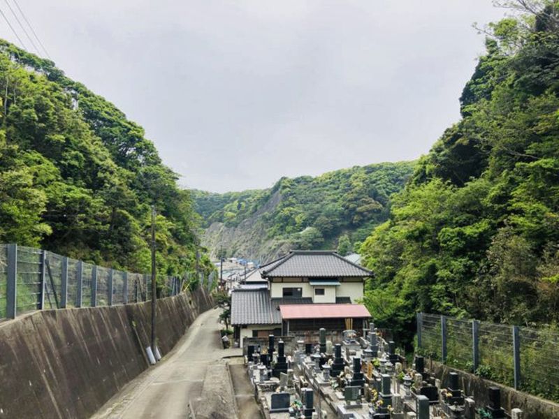 金剛寺 のうこつぼ