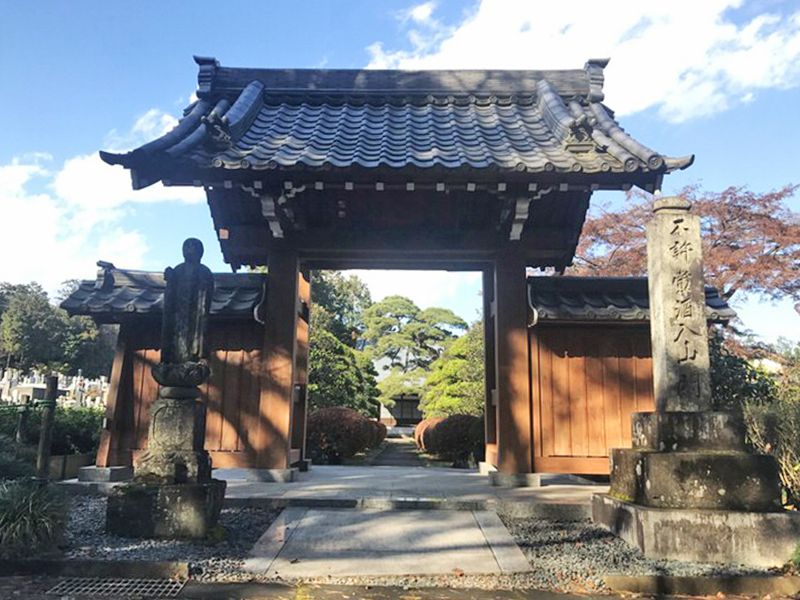 常円寺 のうこつぼ　日当たりがよい山門