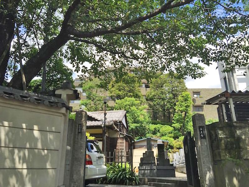 善正寺 のうこつぼ