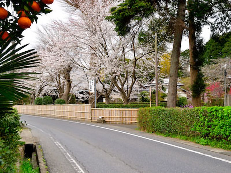 法巌寺 のうこつぼ