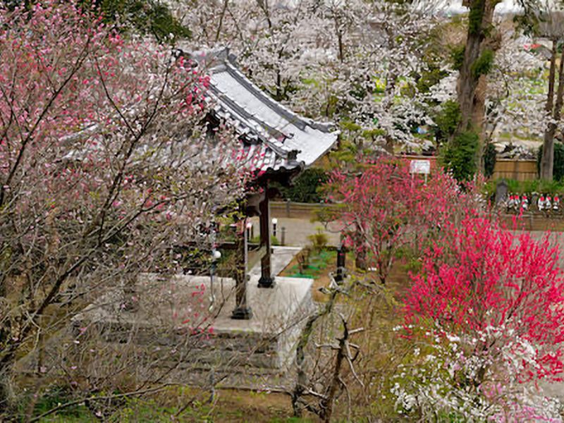 法巌寺 のうこつぼ