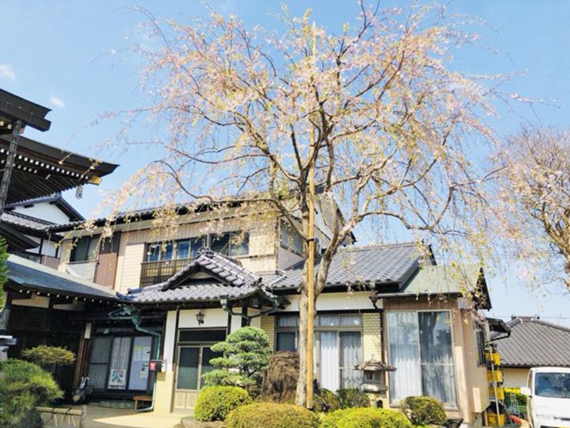 明超寺 のうこつぼ