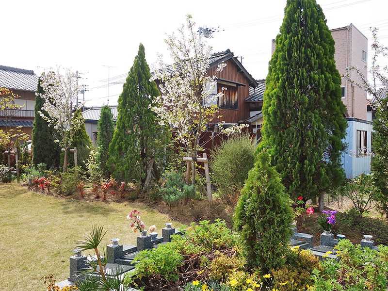 樹木葬「桜雲」