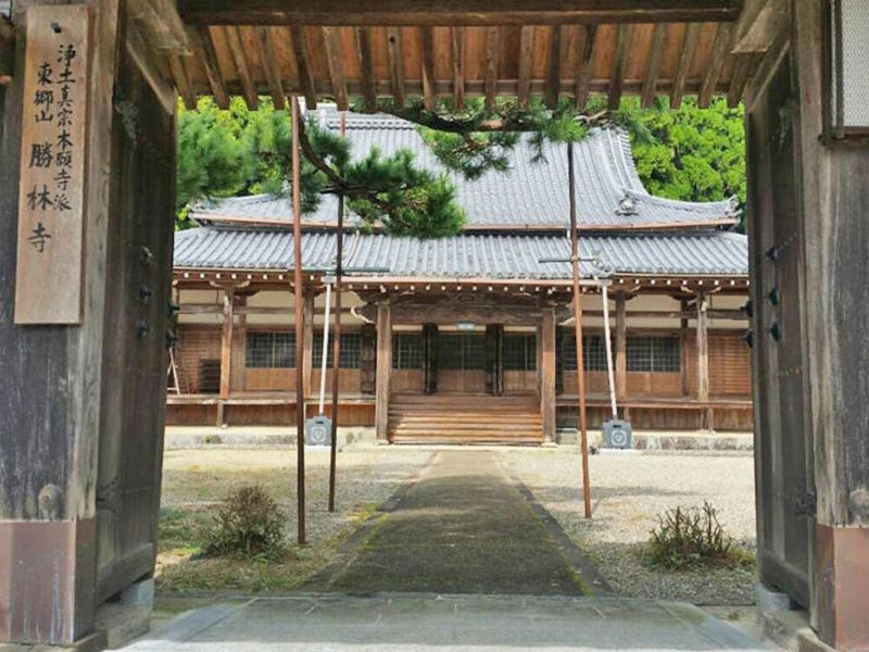 勝林寺 のうこつぼ