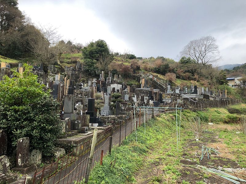 寳泉寺　自然豊かな墓域