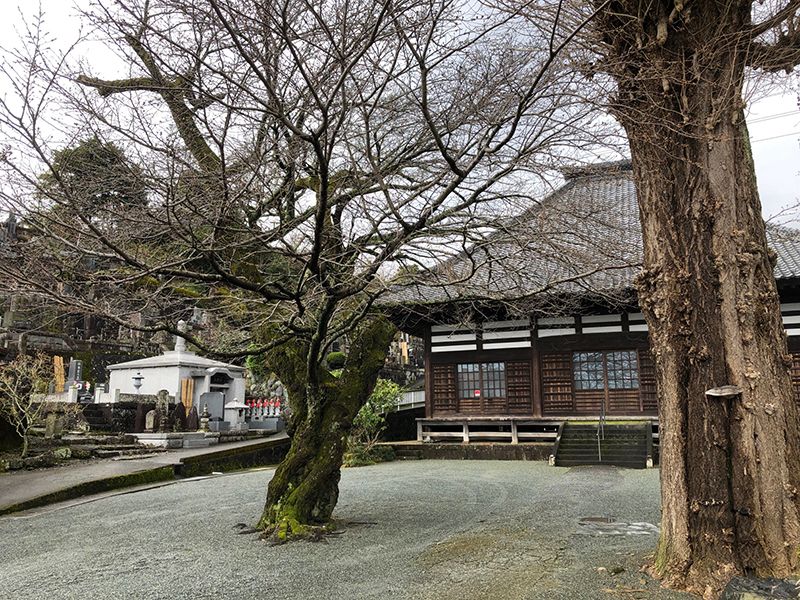 寳泉寺　境内風景