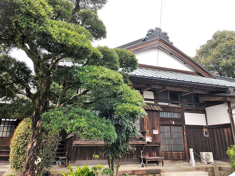 寳泉寺　剪定された木