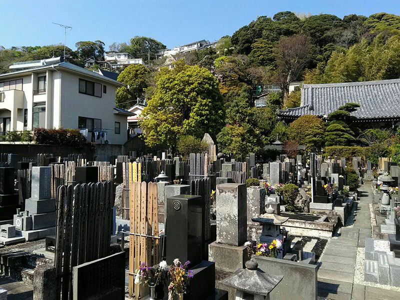 妙大寺　苑内全景