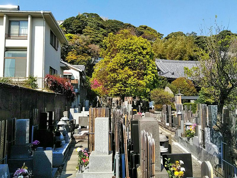 妙大寺　自然豊かな苑内