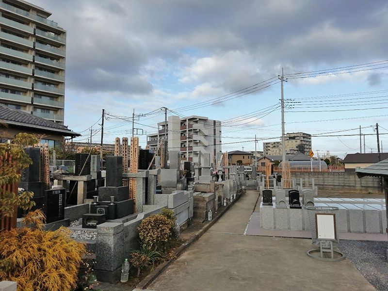 白蓮院墓苑 樹木葬