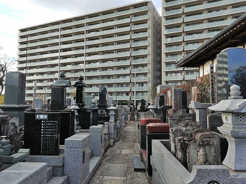 白蓮院墓苑 樹木葬