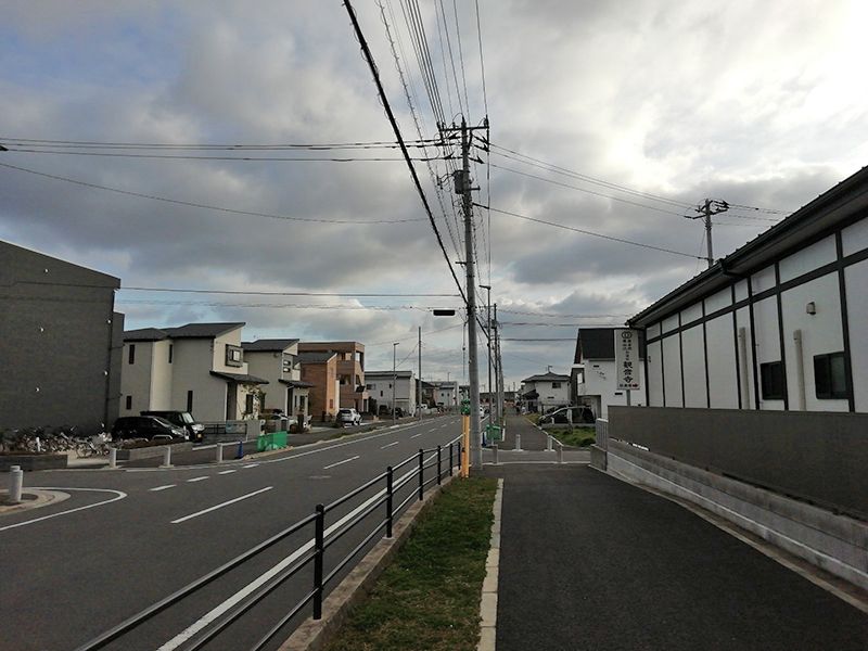 白蓮院墓苑 樹木葬