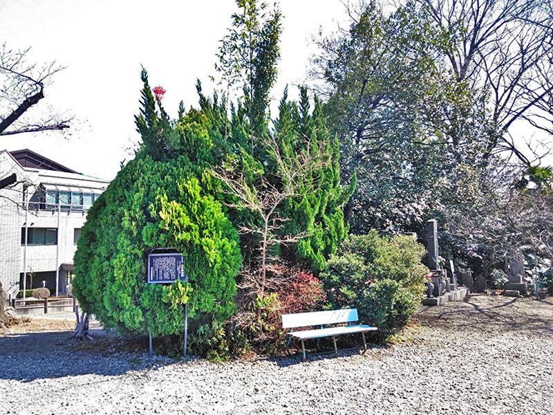 二度栗山墓苑　手入れが行き届いている植栽