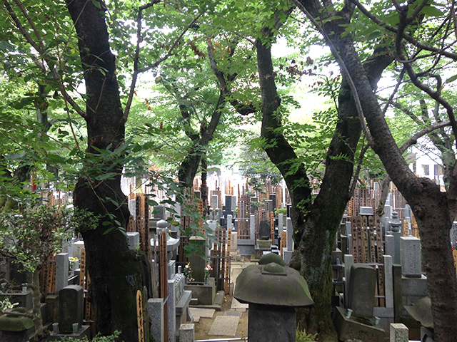 浄心寺 本郷さくら霊園　木々に囲まれた墓域