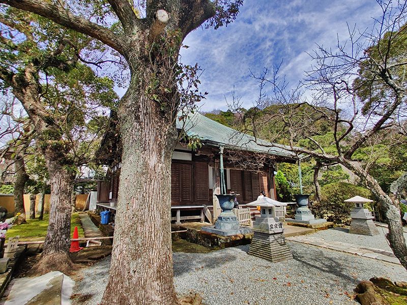 光触寺