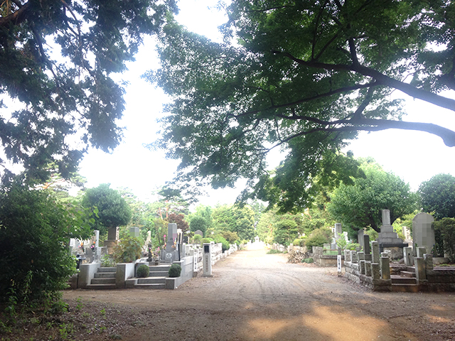 都立 多磨霊園　緑豊かな一般墓所