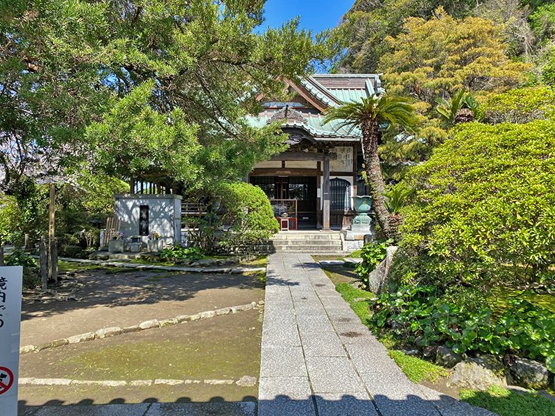 安養院　重厚感がある本堂