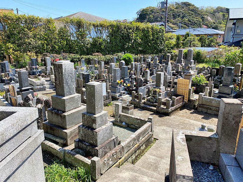 安養院　整備された区画