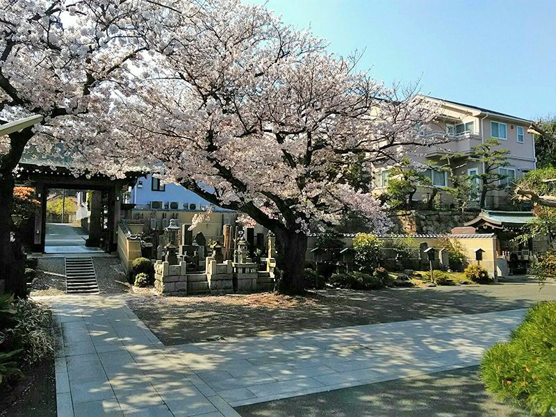 延台寺