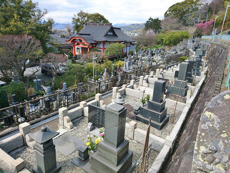 安樂院