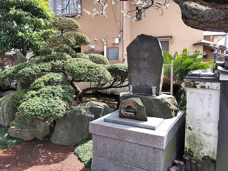 心光寺