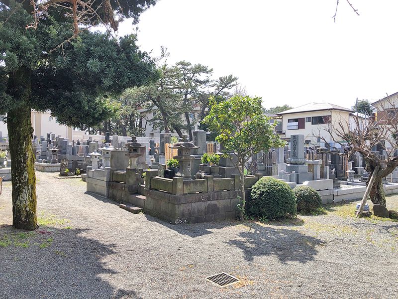 妙蓮寺