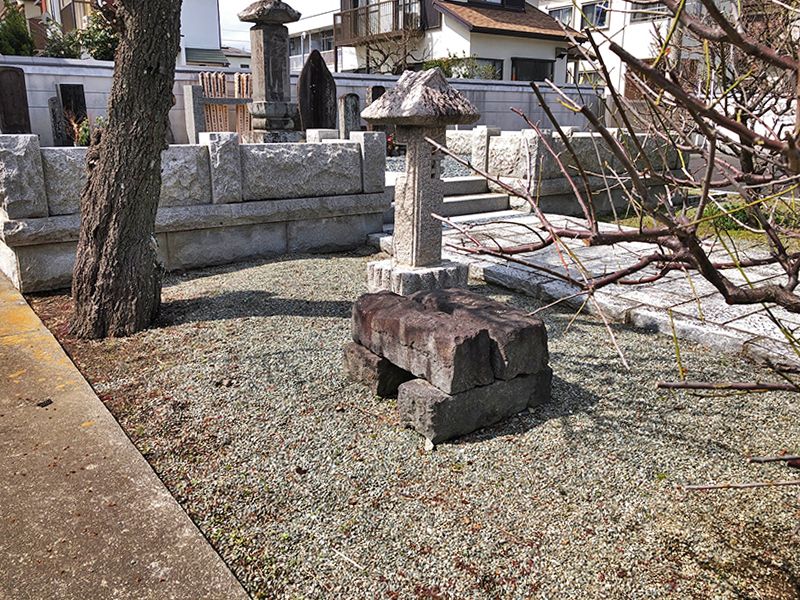 妙蓮寺