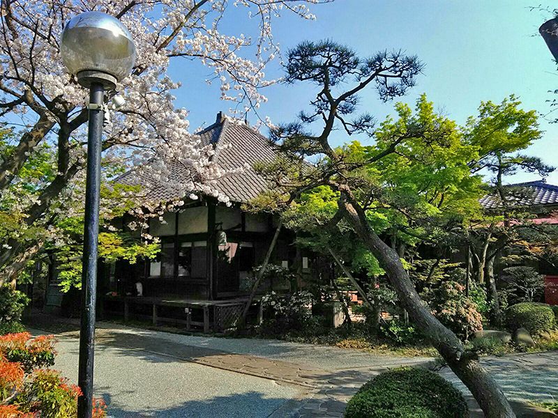 善福寺