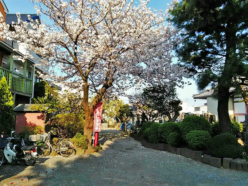 要法寺