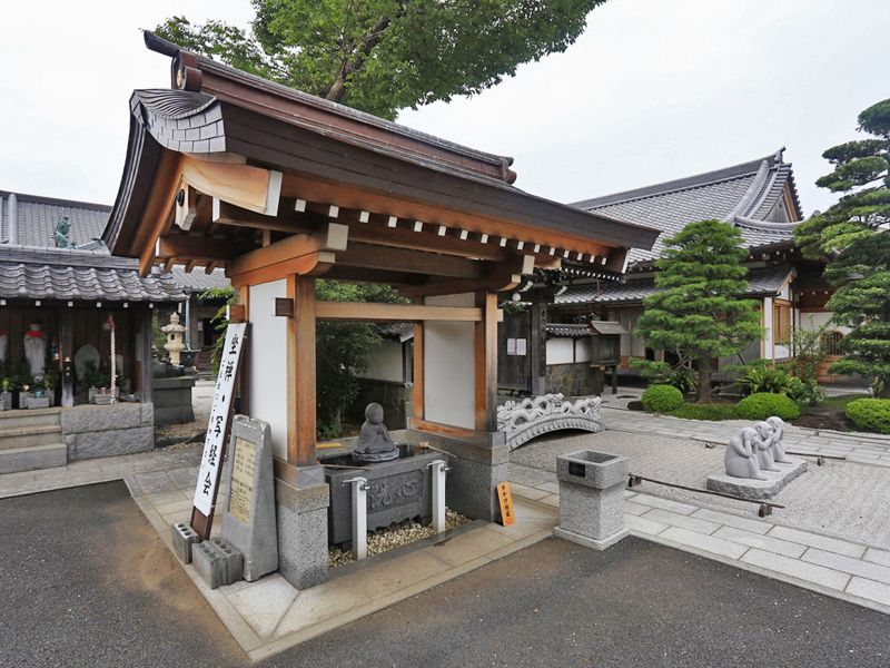 新定院